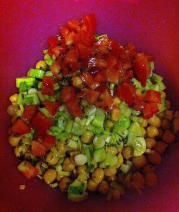 Chick Pea Salad with tomatoes, green onions and cucumbers