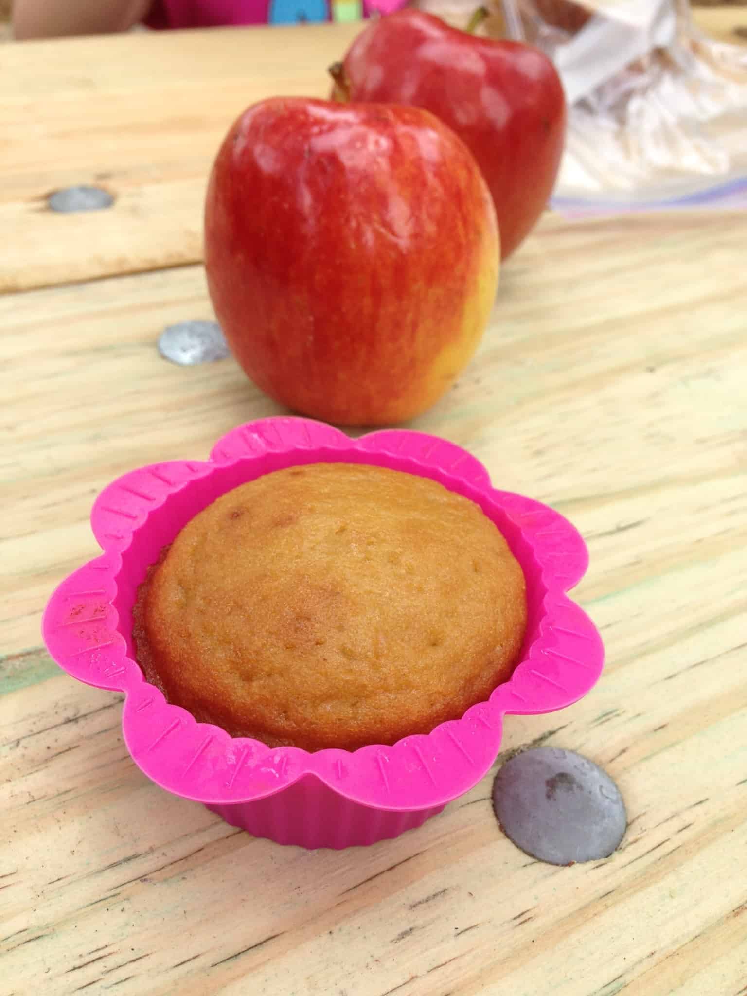 Fast Easy Coconut Flour Cupcake {Click the picture to get the recipe}