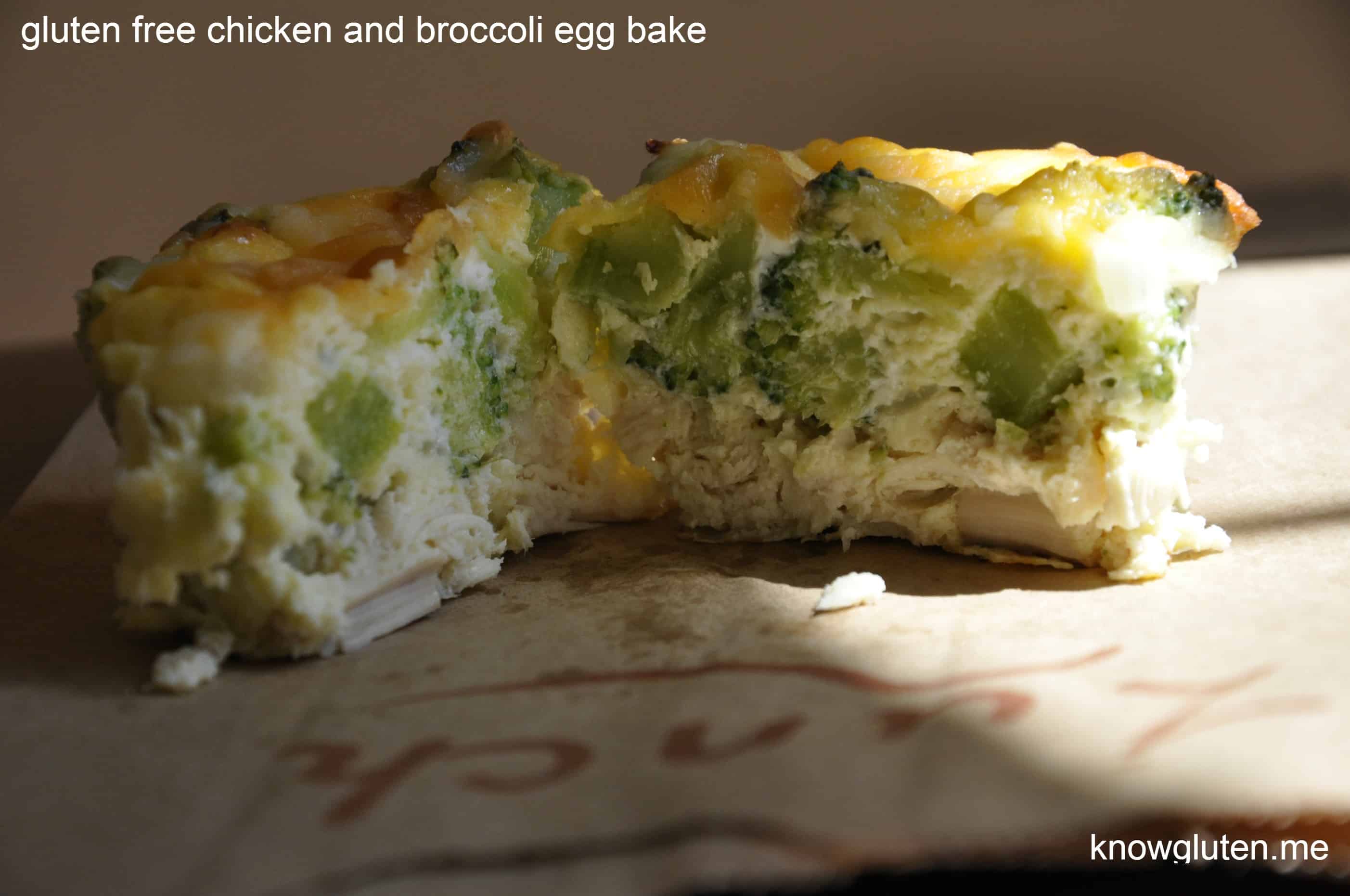 gluten free chicken and broccoli egg bake from know gluten.me