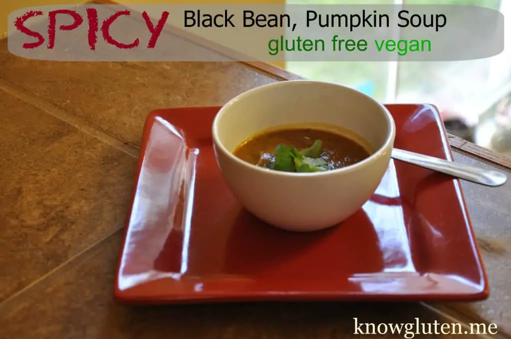 Spicy Black Bean, Pumpkin Soup, Gluten Free, Vegetarian