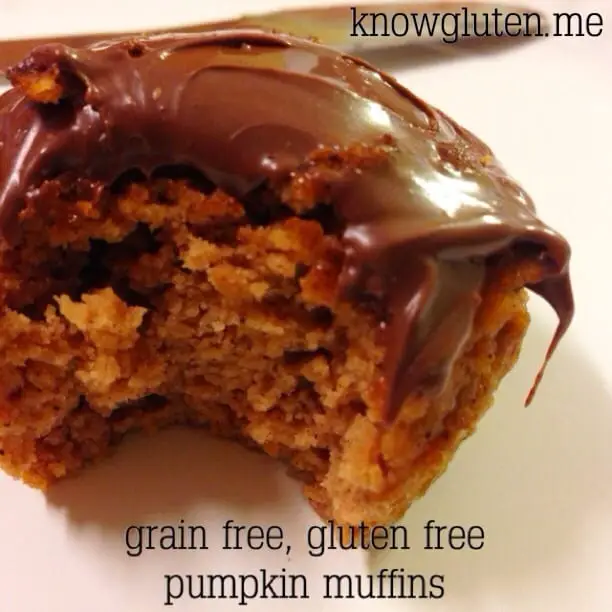 Grain Free Pumpkin Muffins with Coconut flour