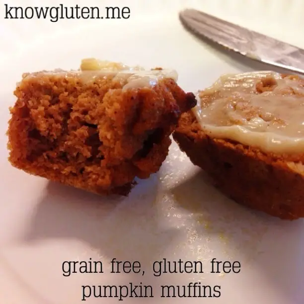 Gluten Free, Grain Free Pumpkin Muffins