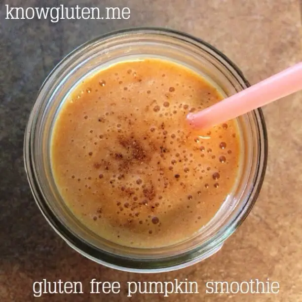 Gluten Free, Dairy Free Pumpkin Smoothie