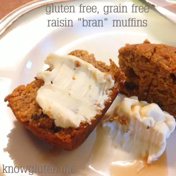 Gluten free, grain free raisin bran muffins