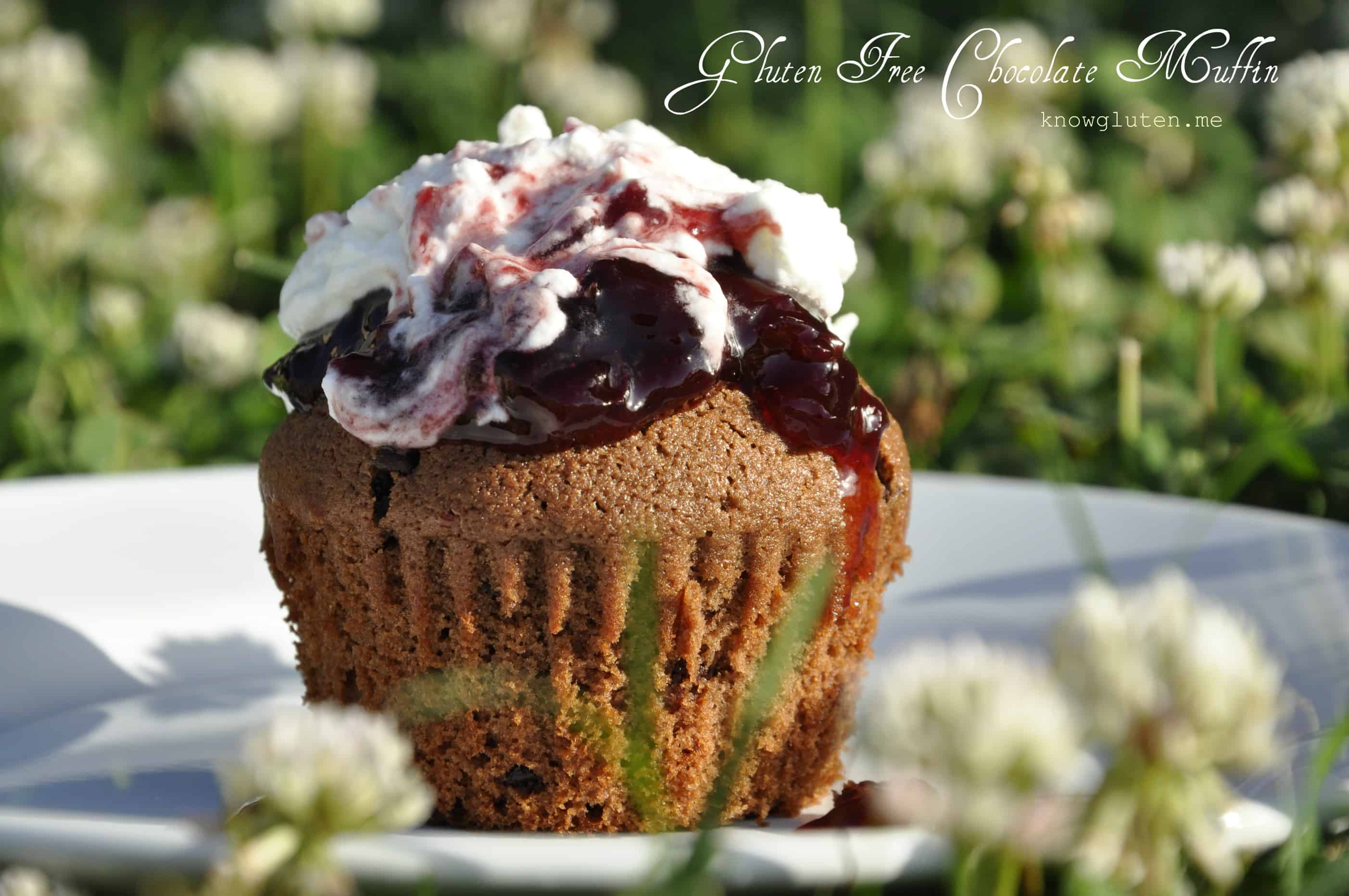 Chocolate Muffin from know gluten.me