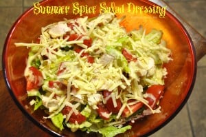 Summer Spice Salad Dressing