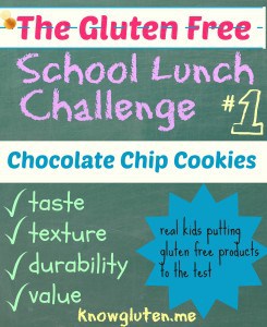 The Gluten Free School Lunch Challenge Chocolate Chip Cookies Blue