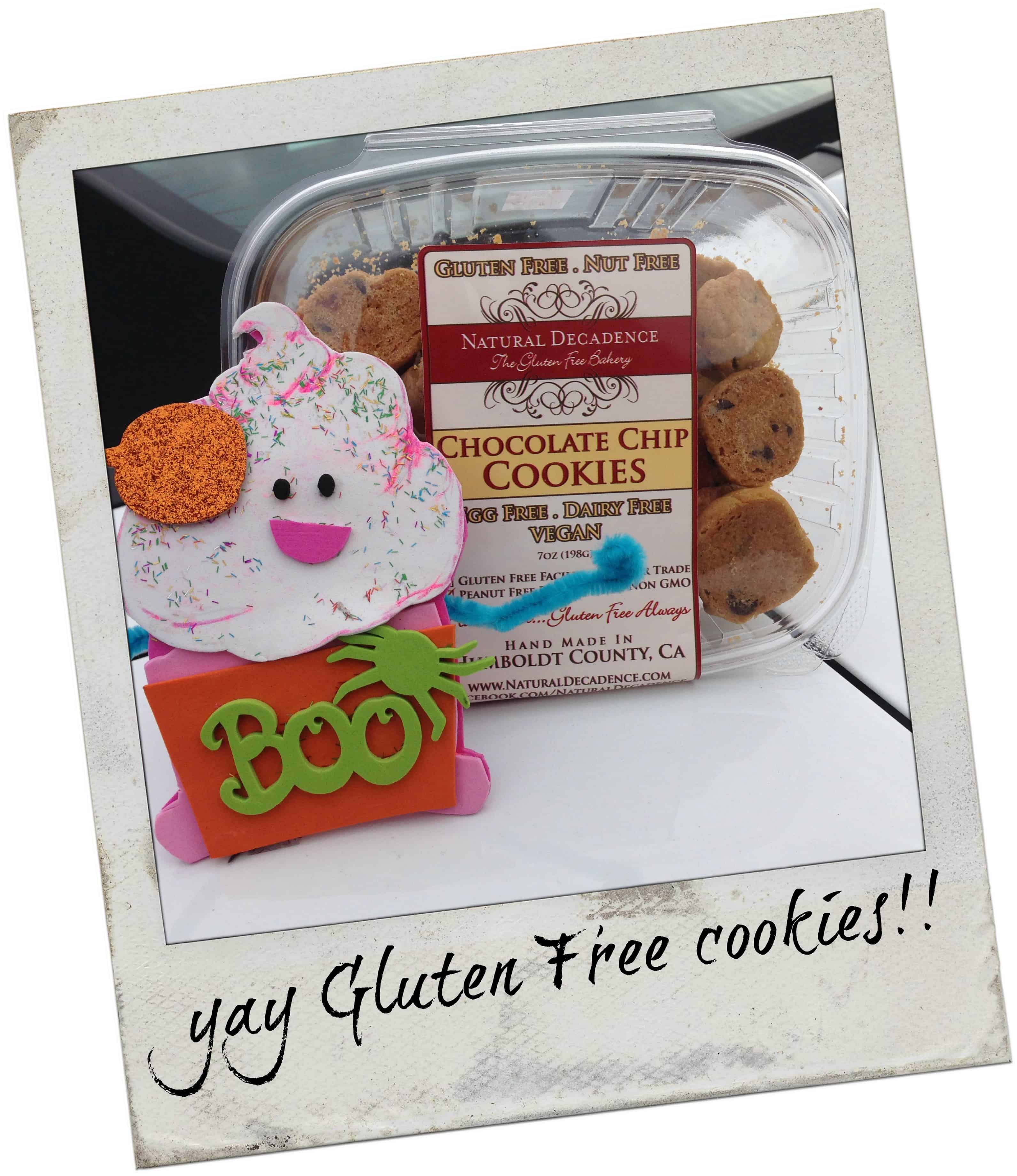 know gluten in Northern California - Gluten free chocolate chip cookies from Natural Decadence in Eureka. Amazing!