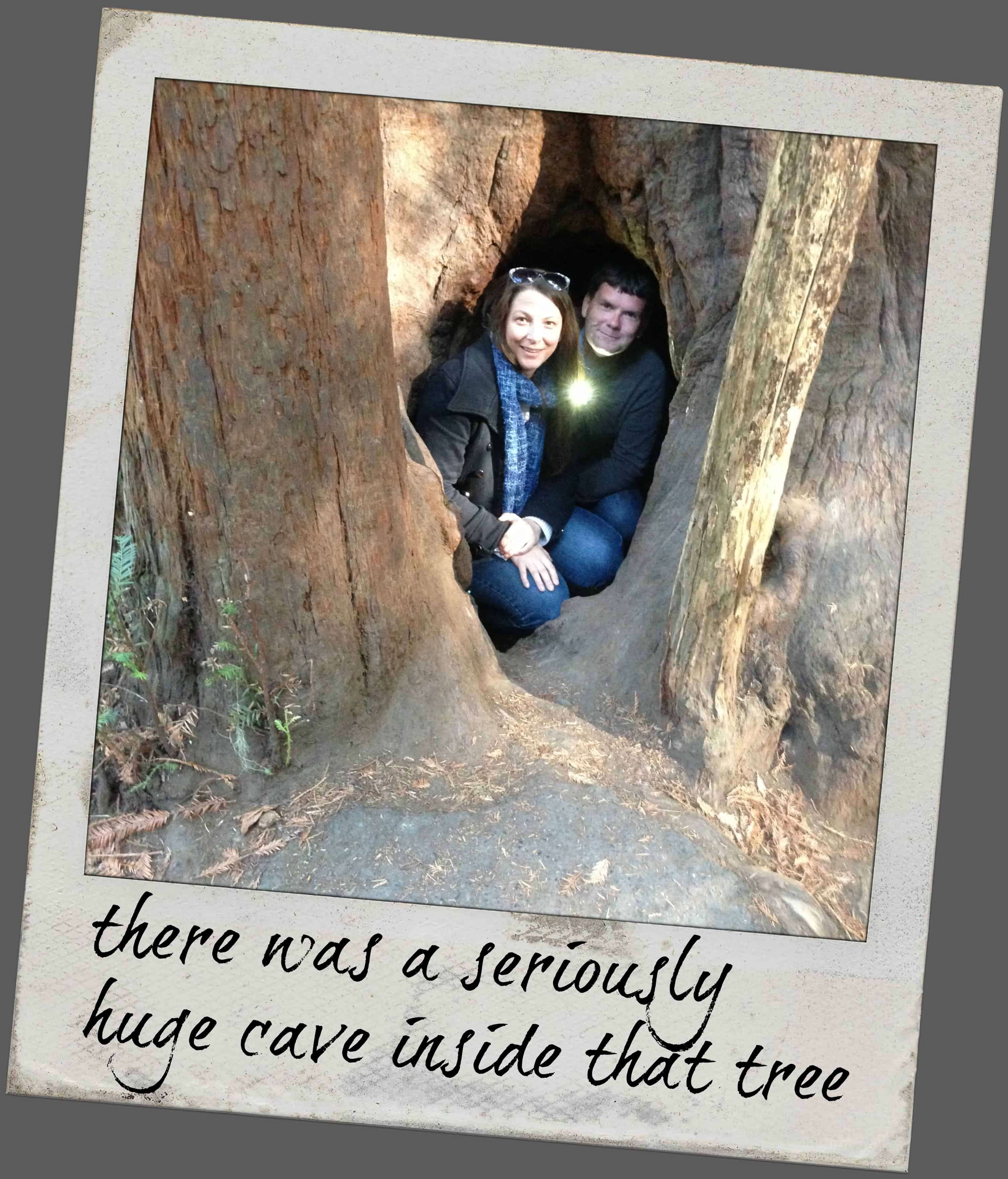 knowgluten in Northern California - inside a redwood tree
