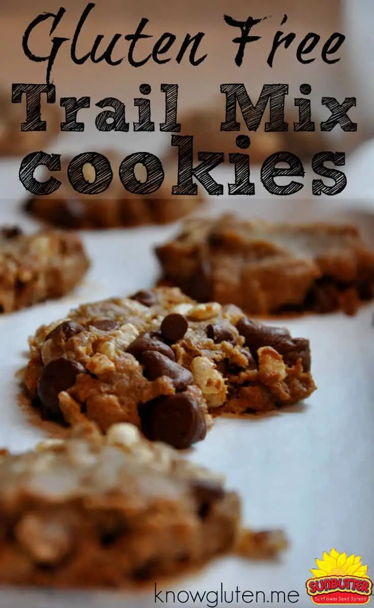 a closeup of Sunbutter cookies on parchment paper