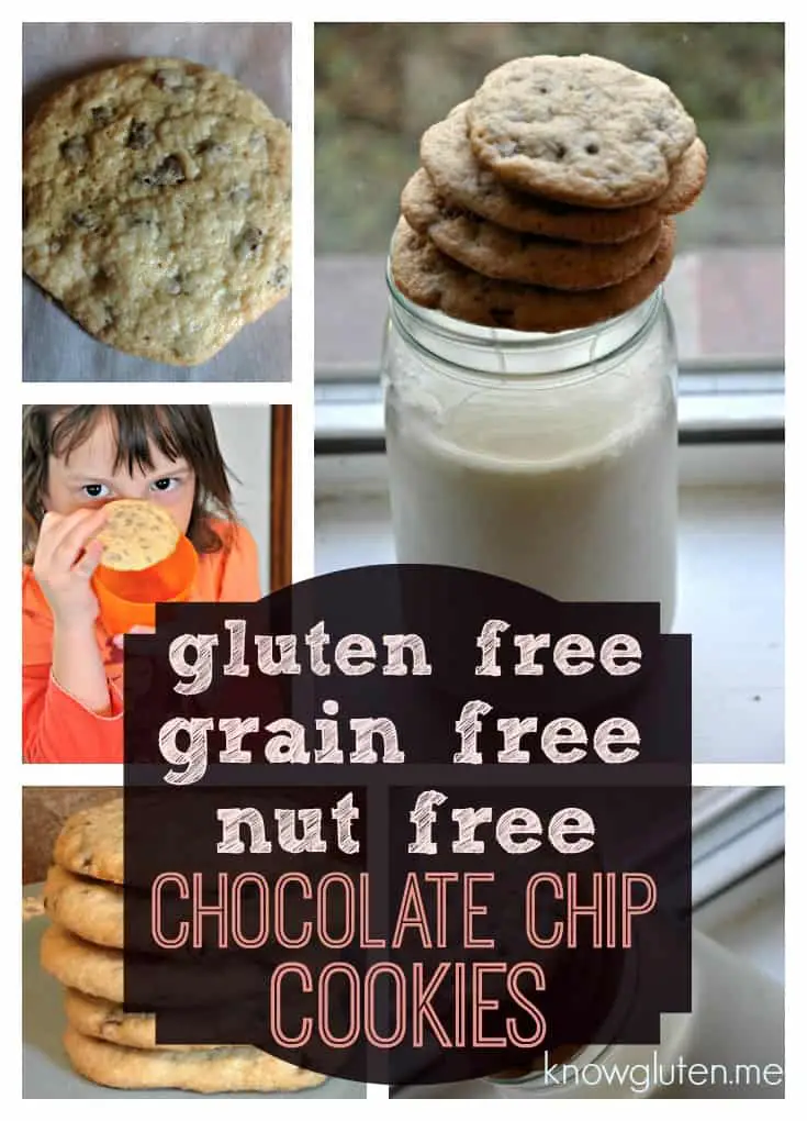 Gluten Free, Grain Free, Nut Free Chocolate Chip Cookies
