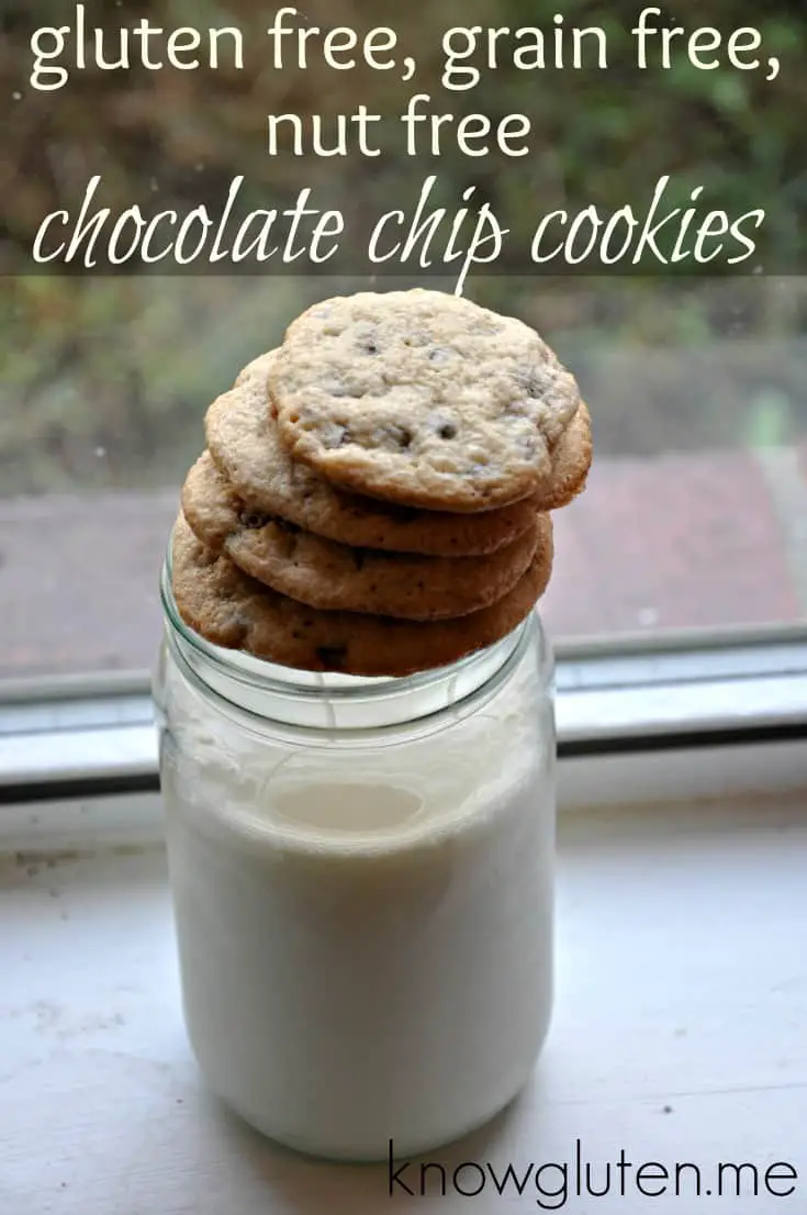 gluten free, grain free, nut free, chocolate chip cookies from knowgluten.me