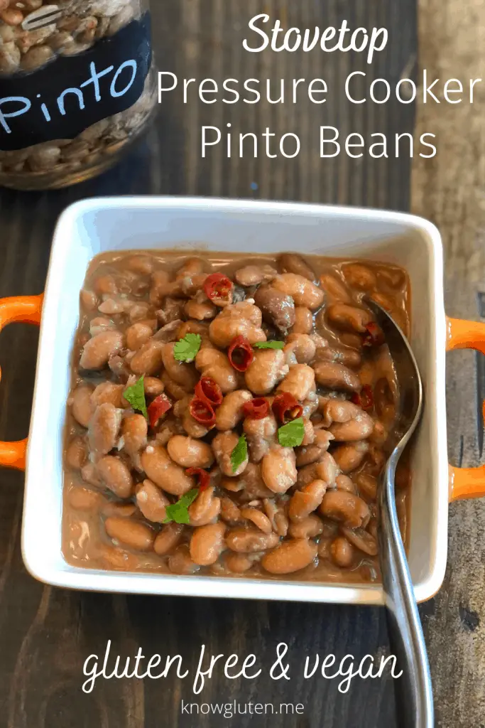 closeup of a bowl of pinto beans